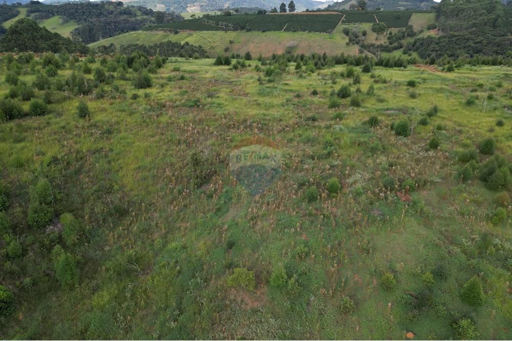 Fazenda - Venda - Bandeira do Sul , Minas Gerais - DJI_0818.JPG - 870361041-103