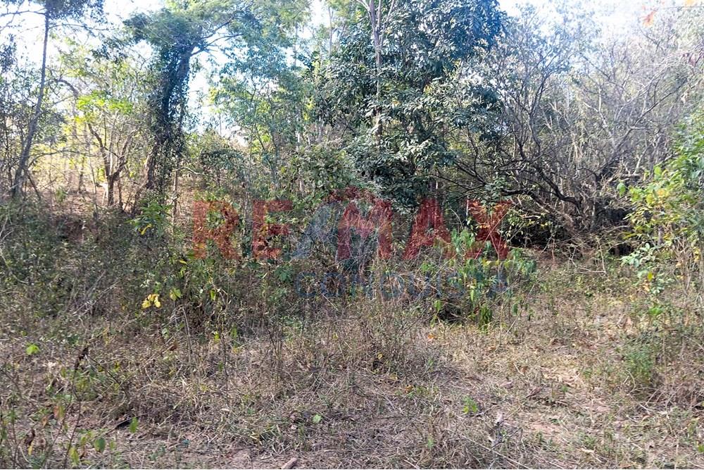 Chácara / Sítio / Fazenda - Venda - Ipanema , Minas Gerais - 5_image_5_watermark_seg._15092025_150713.jpg - 870451013-72