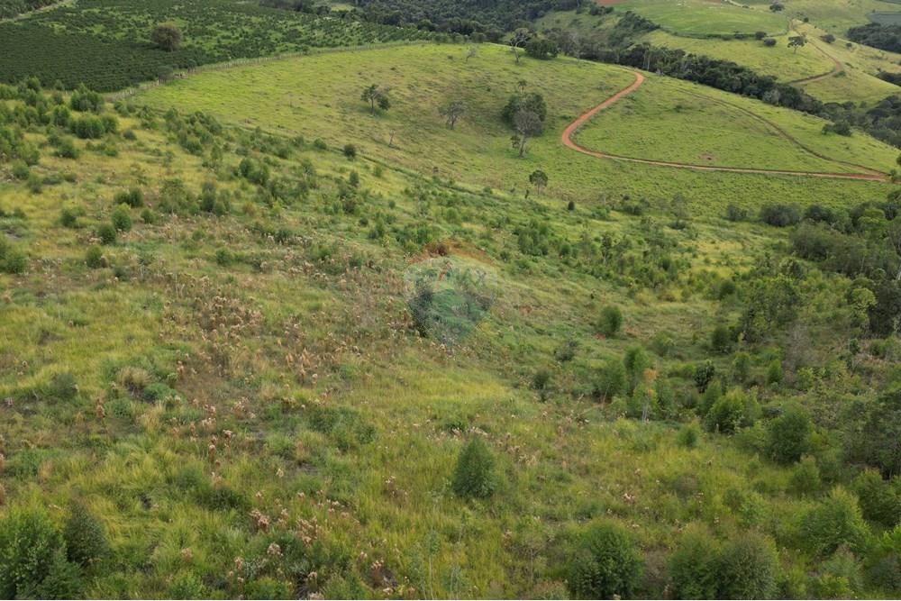 Fazenda - Venda - Bandeira do Sul , Minas Gerais - DJI_0813.JPG - 870361041-103