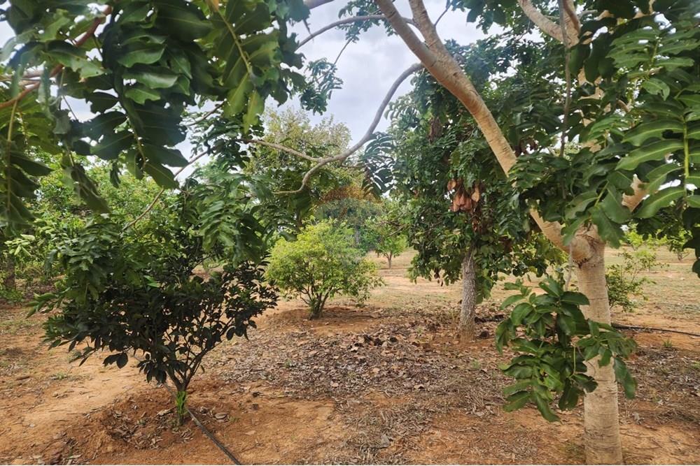 Chácara / Sítio / Fazenda - Venda - Curvelo , Minas Gerais - 9d5f6e8e-70ee-4a2b-9e32-d07dd8e85bc6.jpeg - 870241024-65