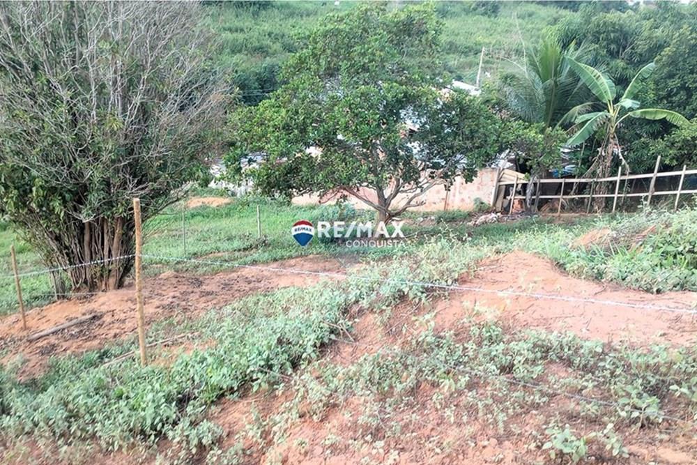 Terreno - Venda - Ipanema , Minas Gerais - 1_image_1_watermark_seg._05052025_142624.jpg - 870451004-98