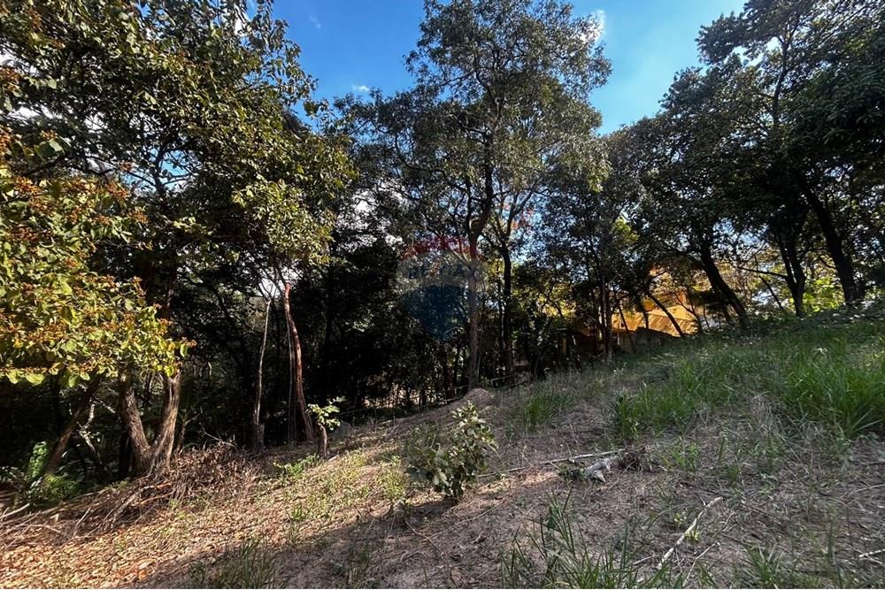 Chácara / Sítio / Fazenda - Venda - Sarzedo , Minas Gerais - lote13009.jpg - 870351054-22