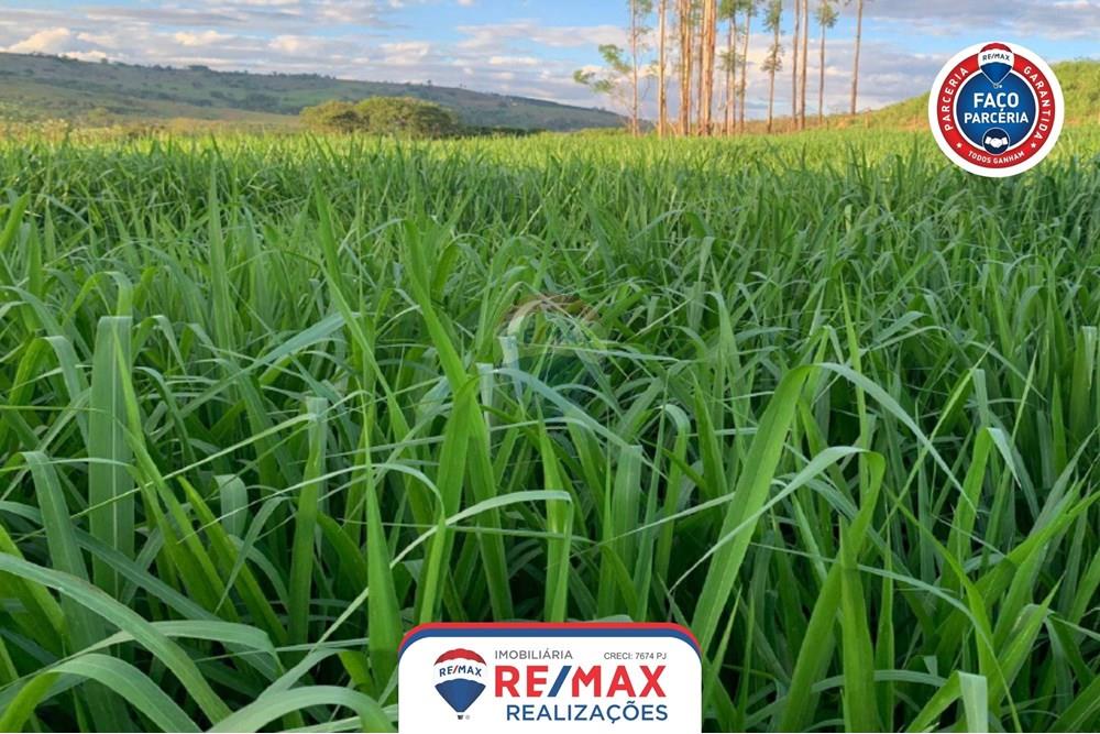 Chácara / Sítio / Fazenda - Venda - Patos de Minas , Minas Gerais - 15.jpg - 870631011-31