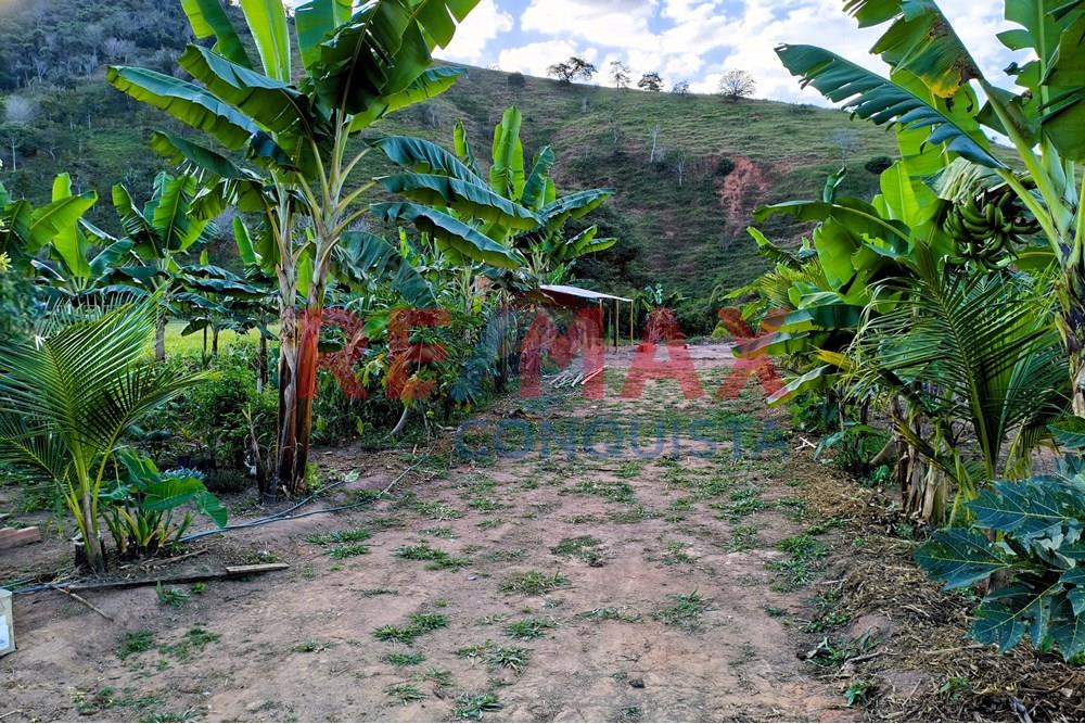 Chácara / Sítio / Fazenda - Venda - Conceição de Ipanema , Minas Gerais - 1_image_1_watermark_seg._01092025_205142.jpg - 870451001-144