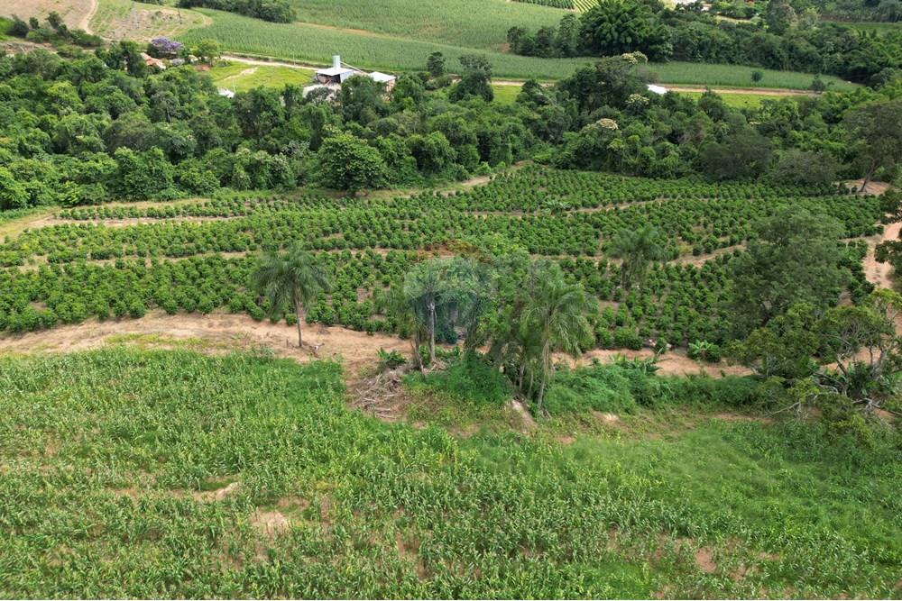 Fazenda - Venda - Caconde , São Paulo - DJI_0003.JPG - 870361041-102