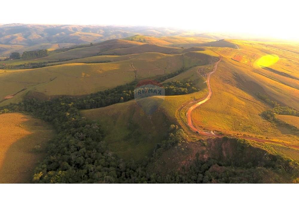 Fazenda - Venda - São Roque de Minas , Minas Gerais - DJI_0033.JPG - 870431039-50