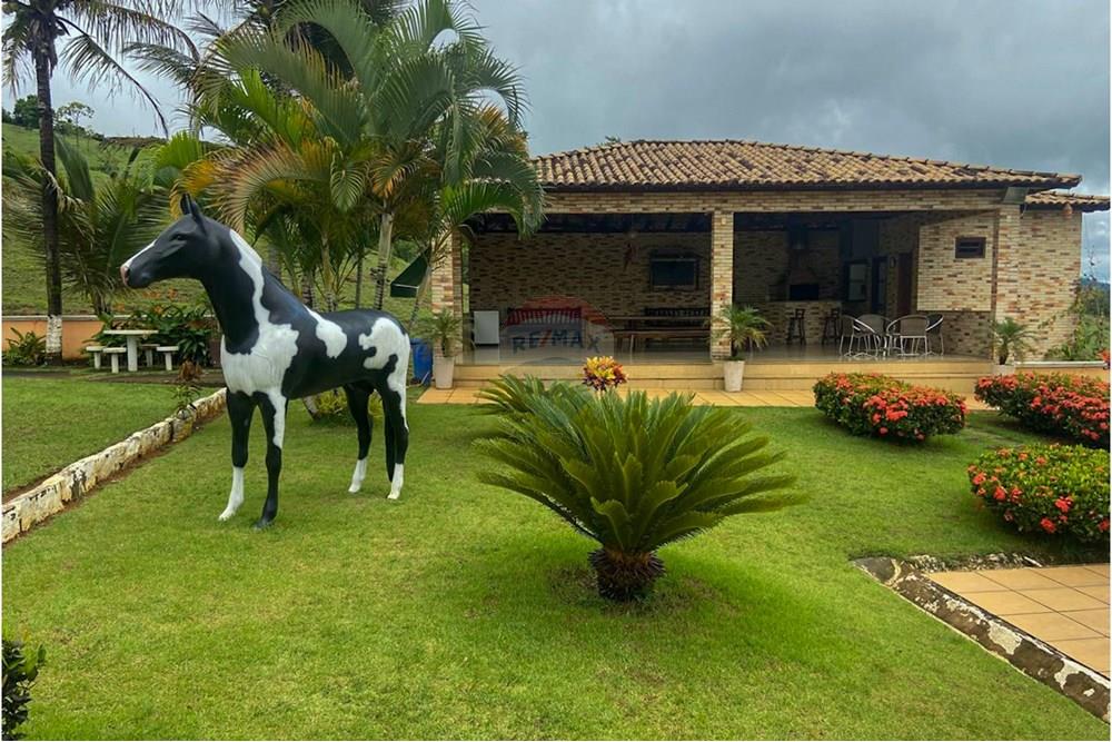 Chácara / Sítio / Fazenda - Venda - Santana do Paraíso , Minas Gerais - IMG-20250327-WA0034.jpg - 870711007-42