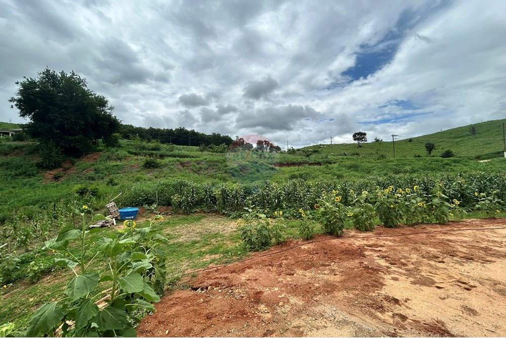 Chácara / Sítio / Fazenda - Venda - Governador Valadares , Minas Gerais - IMG_7898.JPEG - 870671017-71
