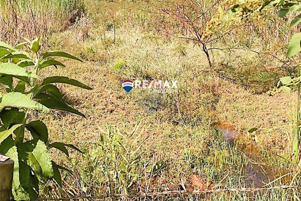 Chácara / Sítio / Fazenda - Venda - Ipanema , Minas Gerais - 2_IMG_20240515_091123_watermark_dom._23062024_100800.jpg - 870451001-121