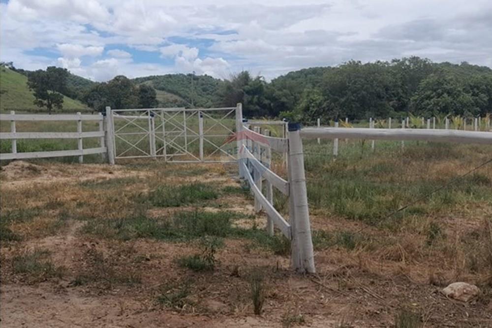 Chácara / Sítio / Fazenda - Venda - Galiléia , Minas Gerais - MAURICIO03.jpg - 870671017-90