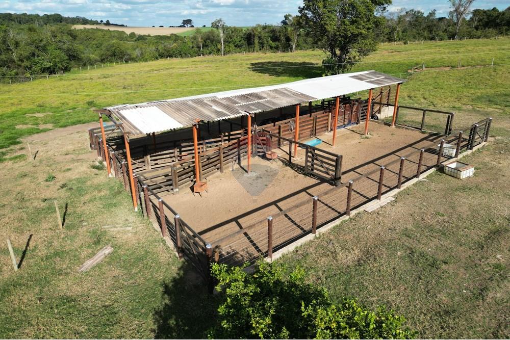 Fazenda - Venda - Uberaba , Minas Gerais - B3.jpeg - 870291037-12