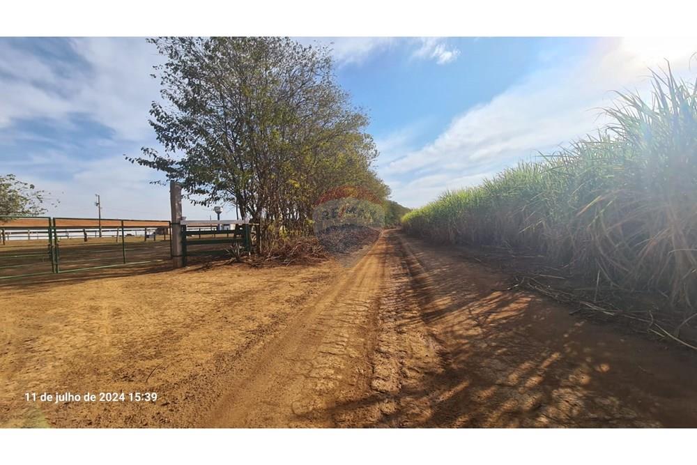 Fazenda - Venda - Uberaba , Minas Gerais - (28).jpeg - 870291025-116