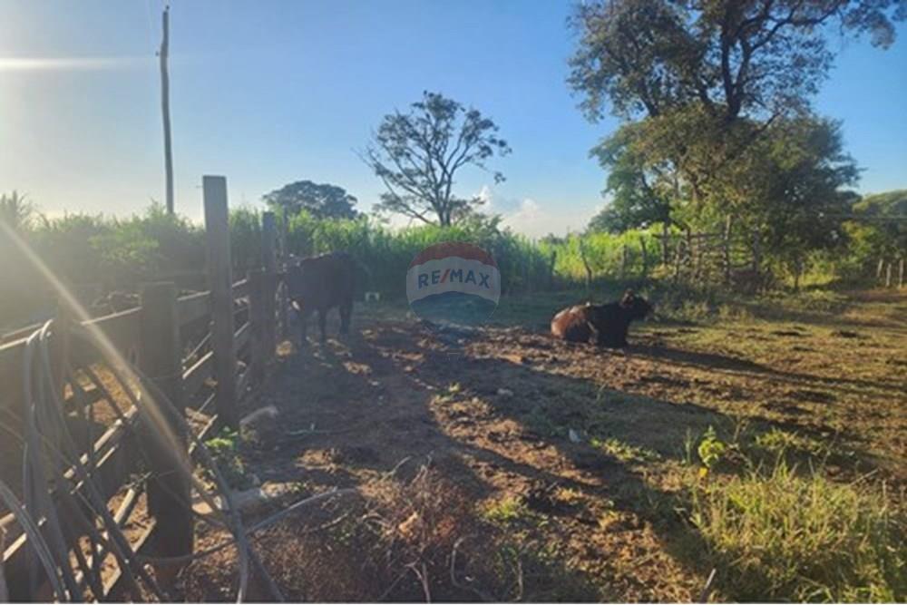 Chácara / Sítio / Fazenda - Venda - Ibirité , Minas Gerais - L_0f976d3e-3da6-4d3d-878a-0b96160232be.jpg - 870241024-77