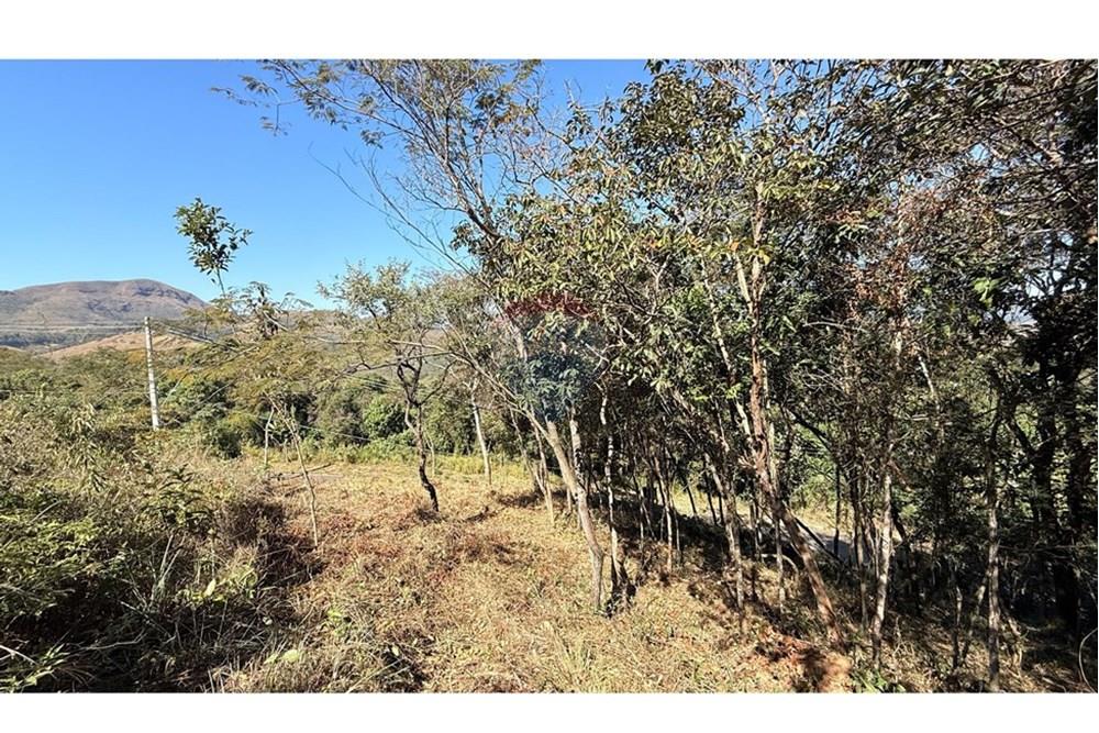 Terreno - Venda - Nova Lima , Minas Gerais - IMG_2079.jpg - 870351059-17