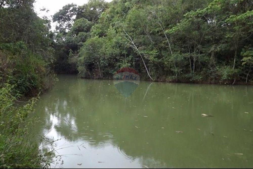 Chácara / Sítio / Fazenda - Venda - Matozinhos , Minas Gerais - WhatsApp Image 2025-09-28 at 18.56.48.jpeg - 870411101-11