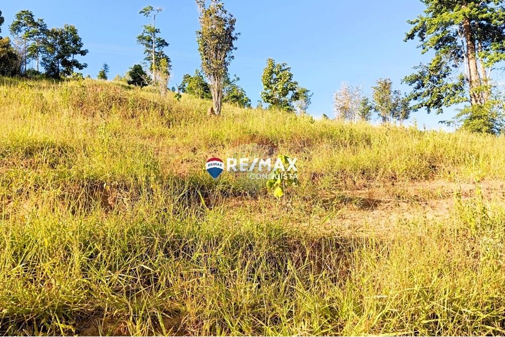 Chácara / Sítio / Fazenda - Venda - Pocrane , Minas Gerais - WhatsApp Image 2025-04-08 at 09.40.35.jpeg - 870451001-124