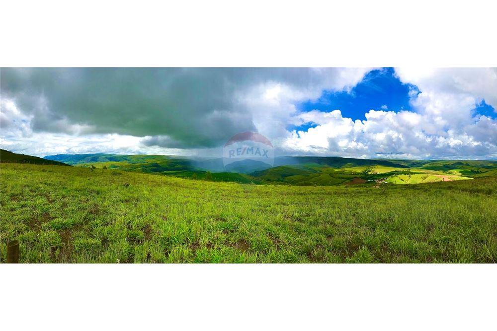 Fazenda - Venda - São Roque de Minas , Minas Gerais - 14 - 870431039-46