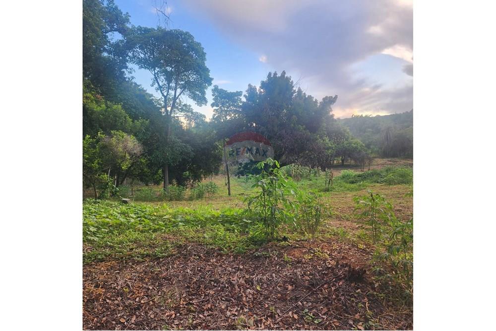 Terreno - Venda - Matozinhos , Minas Gerais - 6807b62b-4718-4393-ac1b-7b15c788d96a.jpeg - 870241024-58