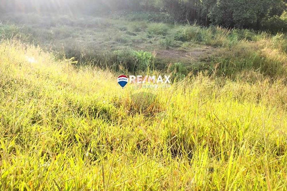 Chácara / Sítio / Fazenda - Venda - Ipanema , Minas Gerais - 6_IMG_20240515_073251_watermark_dom._23062024_100145.jpg - 870451001-121