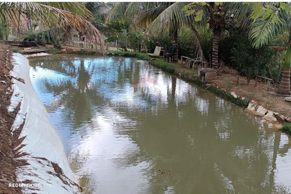 Outros - Venda - Governador Valadares , Minas Gerais - chacara recanto dos sonhos27.jpg - 870671017-105