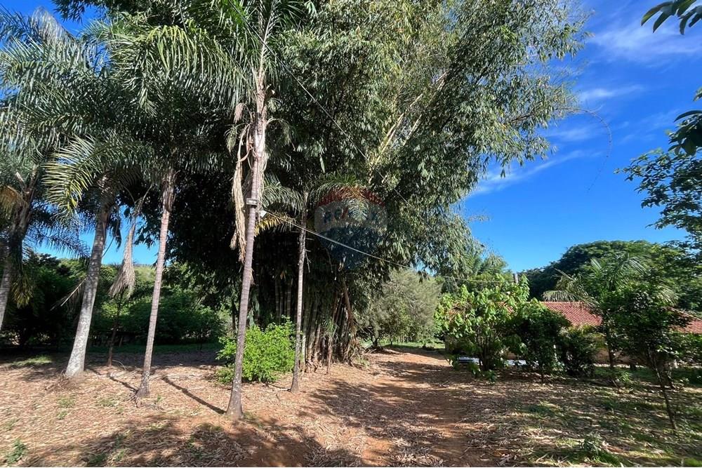 Chácara / Sítio / Fazenda - Venda - Araxá , Minas Gerais - MONICA 11.jpeg - 870431058-3