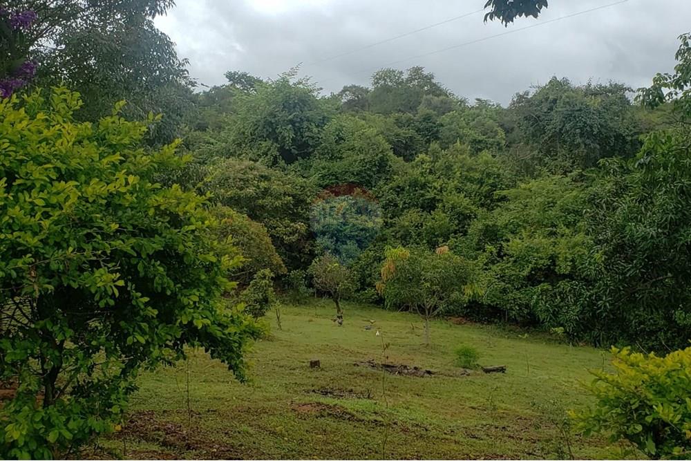 Chácara / Sítio / Fazenda - Venda - Caeté , Minas Gerais - WhatsApp Image 2025-08-25 at 12.42.19.jpeg - 870411117-15