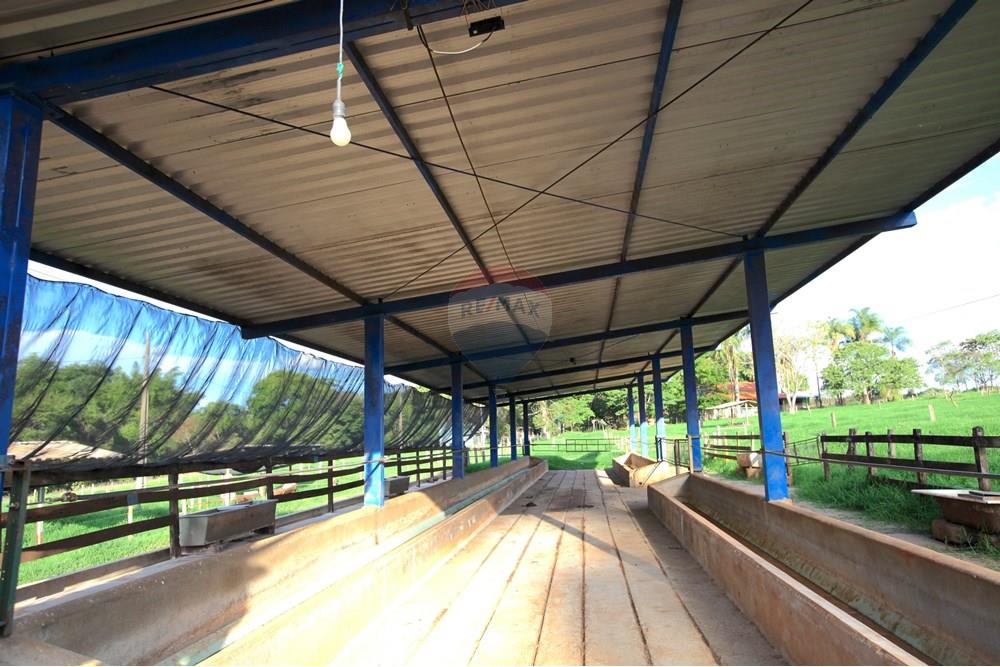 Chácara / Sítio / Fazenda - Venda - Araxá , Minas Gerais - IMG_2429.JPG - 870431039-25