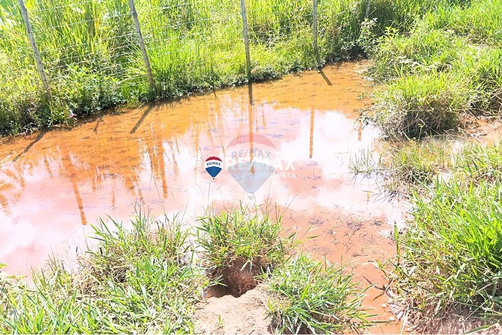 Chácara / Sítio / Fazenda - Venda - Conceição de Ipanema , Minas Gerais - 7_image_7_watermark_sáb._12042025_141557.jpg - 870451013-61