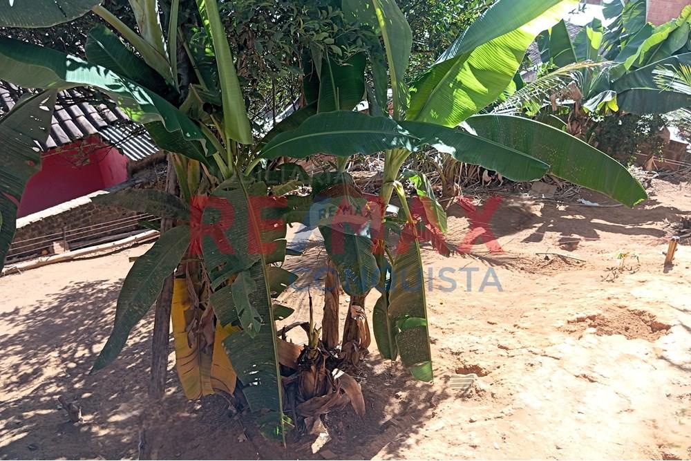Casa - Venda - Ipanema , Minas Gerais - 6_image_6_watermark_seg._01092025_205807.jpg - 870451013-71