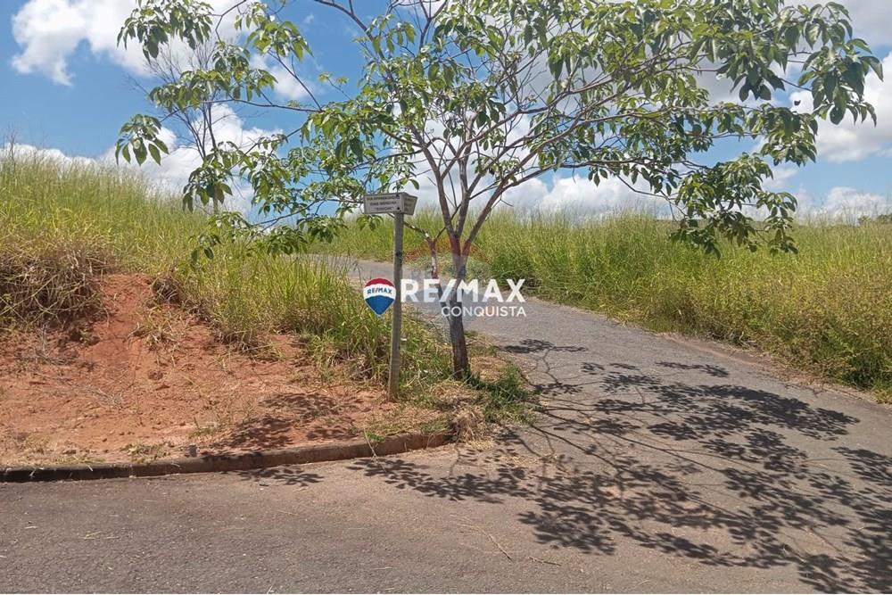 Chácara / Sítio / Fazenda - Venda - Ipanema , Minas Gerais - WhatsApp Image 2025-02-19 at 16.28.30.jpeg - 870451013-54