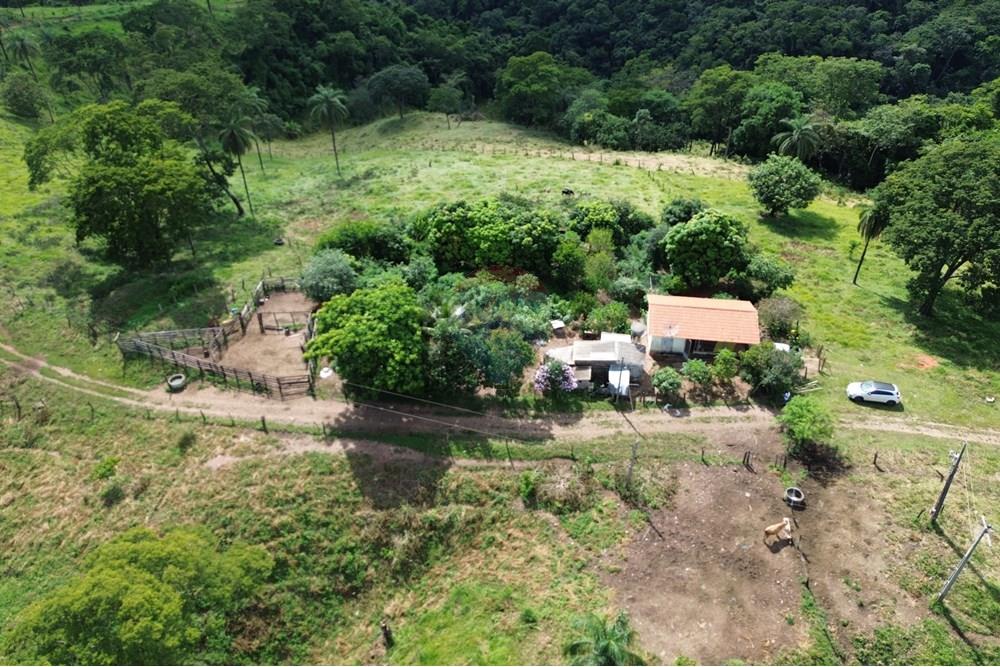 Chácara / Sítio / Fazenda - Venda - Araxá , Minas Gerais - 12.JPG - 870431045-37