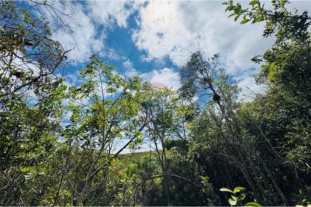 Chácara / Sítio / Fazenda - Venda - Caeté , Minas Gerais - IMG-20251030-WA0342.jpg - 870421116-90