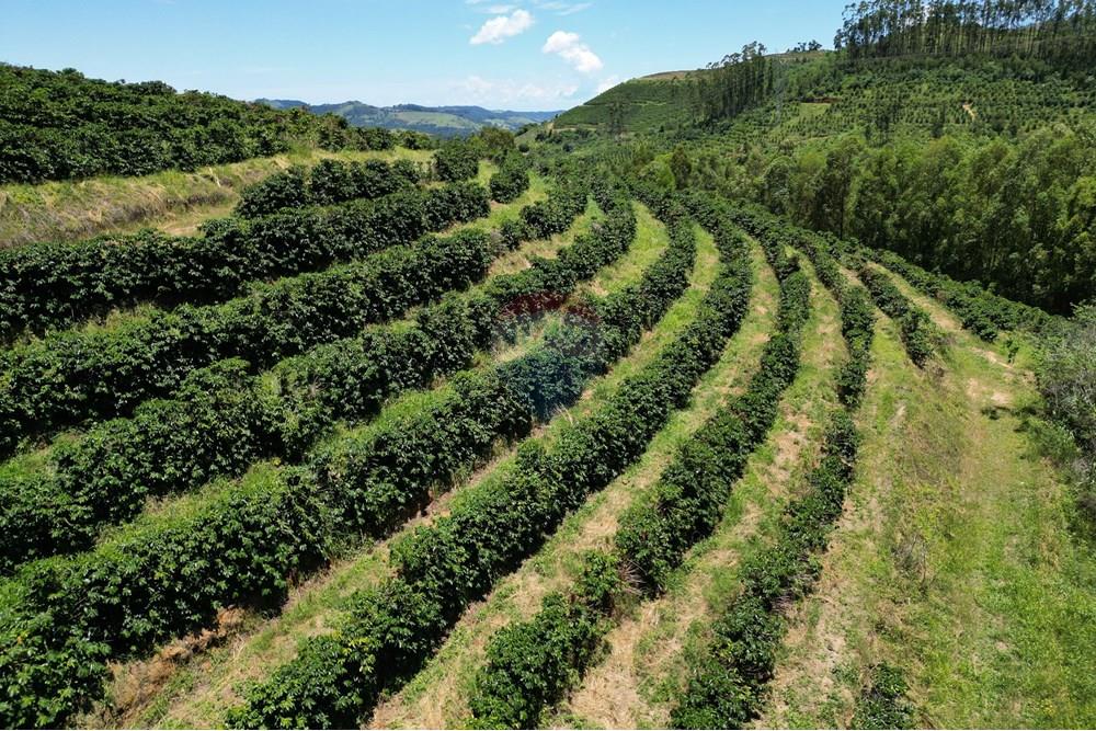 Chácara / Sítio / Fazenda - Venda - São Sebastião da Grama , São Paulo - DJI_0708.JPG - 870361041-98