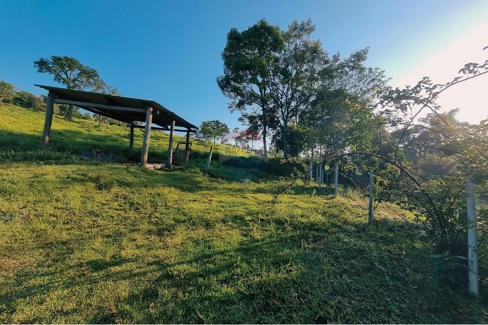 Chácara / Sítio / Fazenda - Venda - São Sebastião do Paraíso , Minas Gerais - c11.jpg - 870291002-306