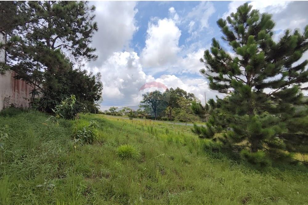 Terreno - Venda - Nova Lima , Minas Gerais - IMG_20250128_114926.jpg - 870421014-287