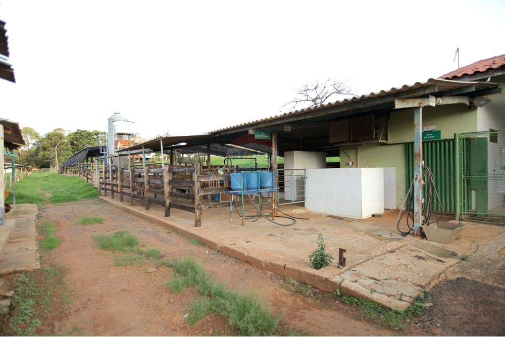 Chácara / Sítio / Fazenda - Venda - Araxá , Minas Gerais - IMG_2470.JPG - 870431039-25