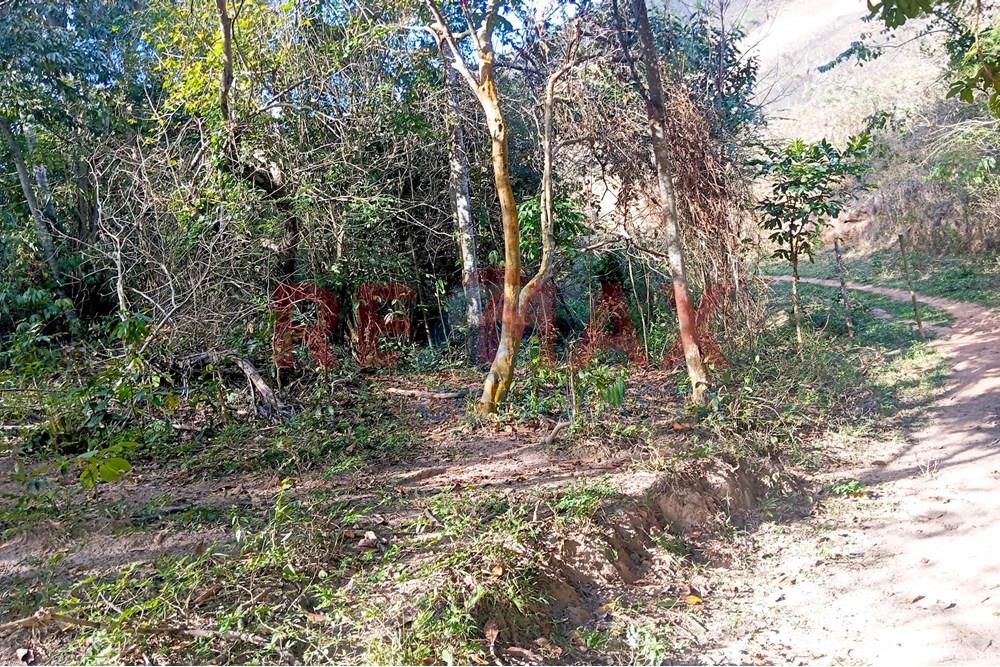 Chácara / Sítio / Fazenda - Venda - Ipanema , Minas Gerais - 6_image_6_watermark_seg._15092025_150713.jpg - 870451013-72