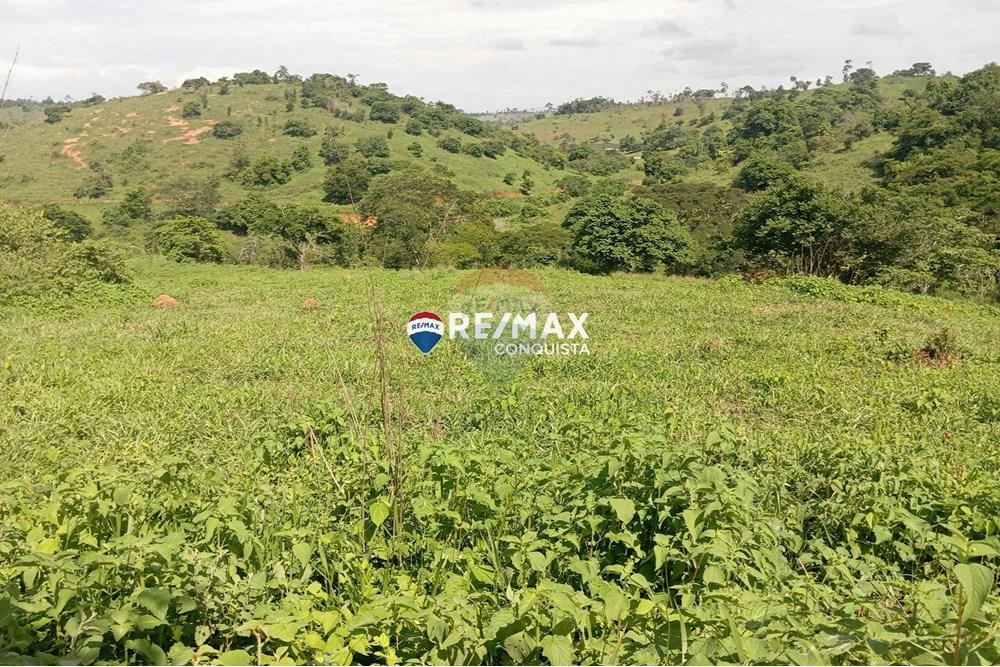 Chácara / Sítio / Fazenda - Venda - Pocrane , Minas Gerais - 6_IMG_20241203_084850_watermark_sex._13122024_135655.jpg - 870451001-114