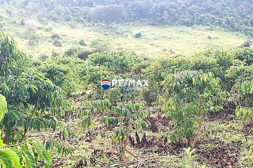 Chácara / Sítio / Fazenda - Venda - Ipanema , Minas Gerais - 4_IMG_20240515_084711_watermark_dom._23062024_101020.jpg - 870451001-121