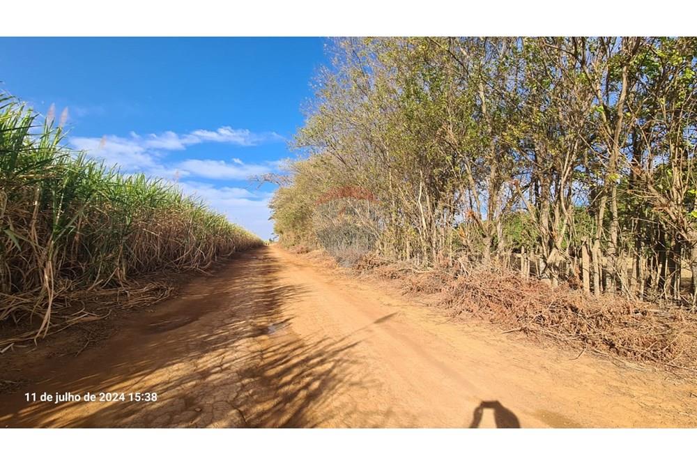 Chácara / Sítio / Fazenda - Venda - Uberaba , Minas Gerais - (31).jpeg - 870291025-115