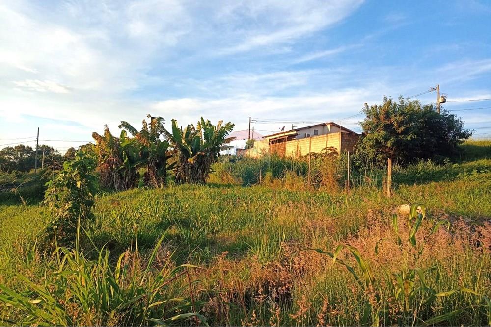 Terreno - Venda - Uberaba , Minas Gerais - 04.jpeg - 870291025-93