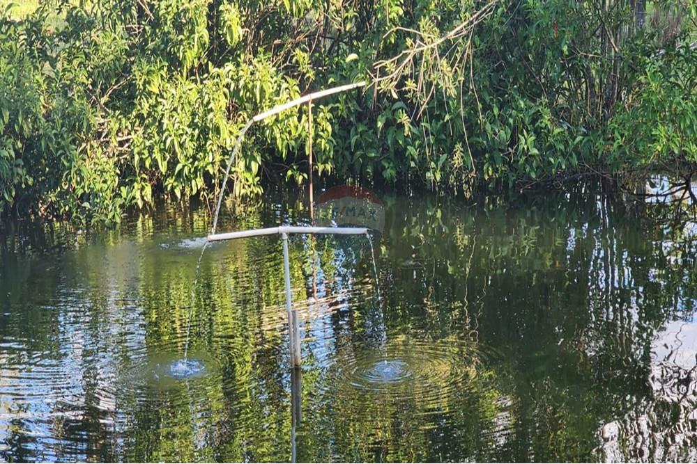 Chácara / Sítio / Fazenda - Venda - Uberaba , Minas Gerais - 11 Sítio Venda 690 mil com 20.300m² em Rio Claro, próximo a Uberaba na Remax 870291025-102.jpg - 870291025-102