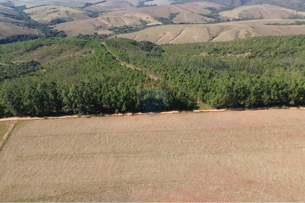 Chácara / Sítio / Fazenda - Venda - Araxá , Minas Gerais - 06.JPG - 870431045-49