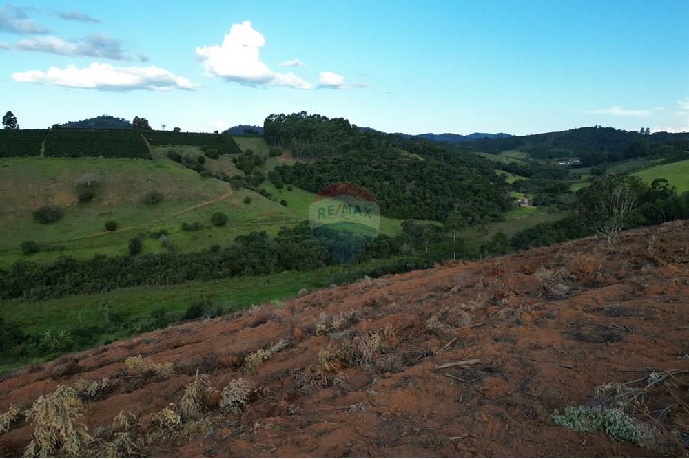 Fazenda - Venda - Bandeira do Sul , Minas Gerais - DJI_0869.JPG - 870361041-103