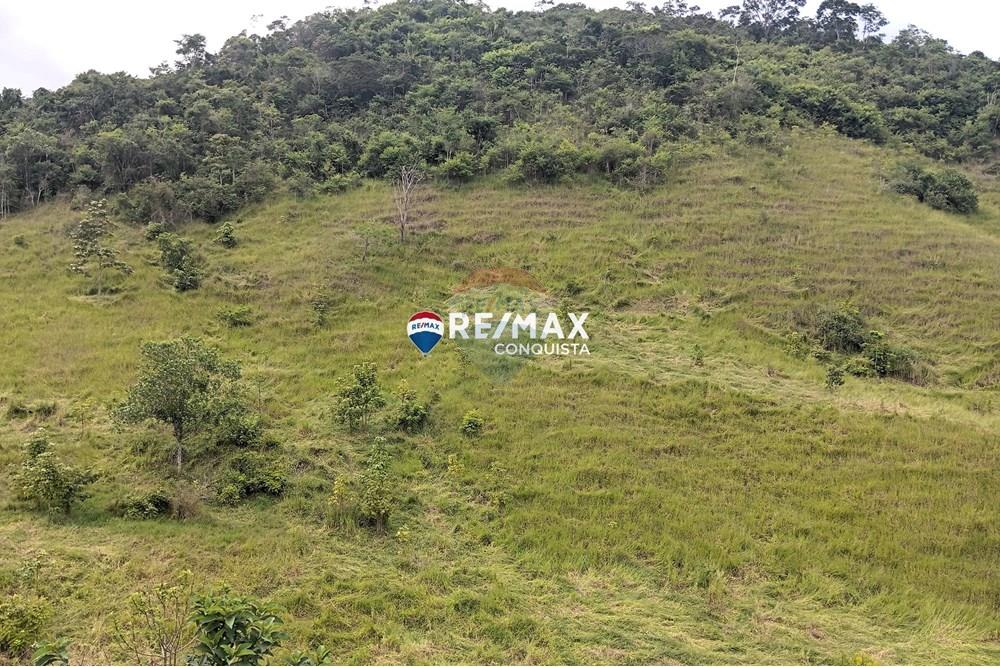 Chácara / Sítio / Fazenda - Venda - Conceição de Ipanema , Minas Gerais - 9_image_9_watermark_sáb._12042025_141820.jpg - 870451013-61