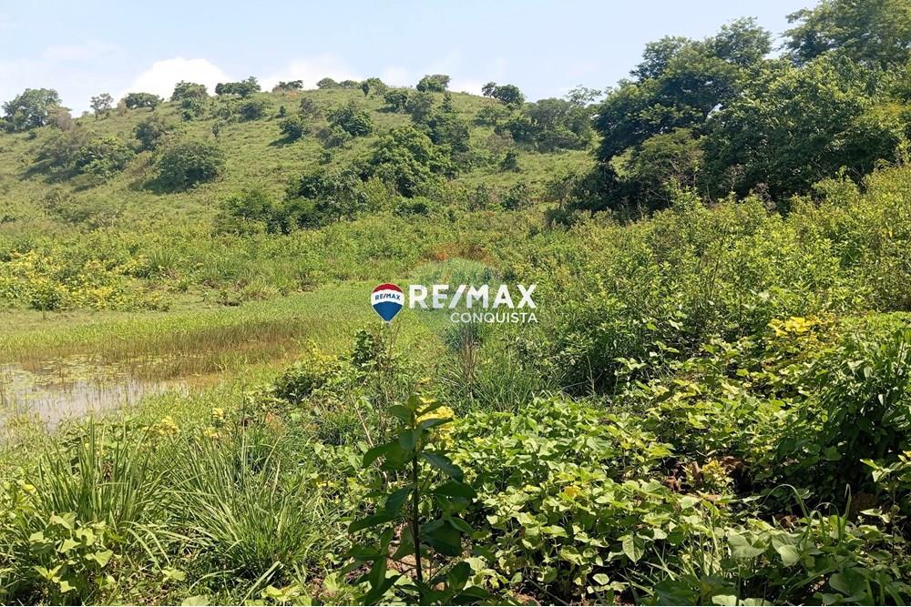 Chácara / Sítio / Fazenda - Venda - Pocrane , Minas Gerais - 3_IMG_20241203_091118_watermark_sex._13122024_135231.jpg - 870451001-114