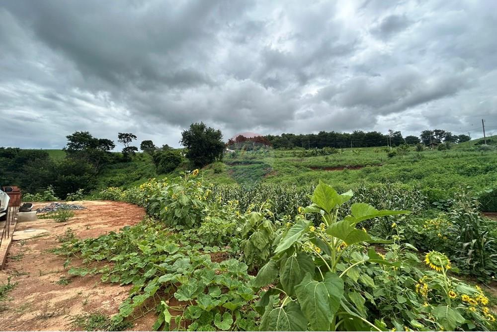 Chácara / Sítio / Fazenda - Venda - Governador Valadares , Minas Gerais - IMG_7904.JPEG - 870671017-71