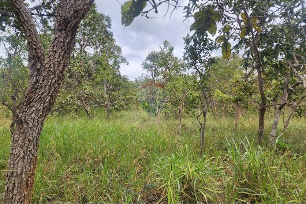 Chácara / Sítio / Fazenda - Venda - Curvelo , Minas Gerais - 35a8e9e1-6d1f-4d41-835e-6d10776dff51.jpeg - Quintal - 870241024-65