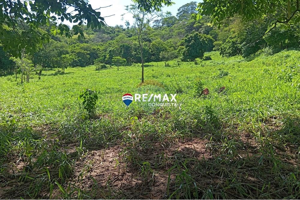 Chácara / Sítio / Fazenda - Venda - Pocrane , Minas Gerais - 1_IMG_20241203_090218_watermark_sex._13122024_135416.jpg - 870451001-114