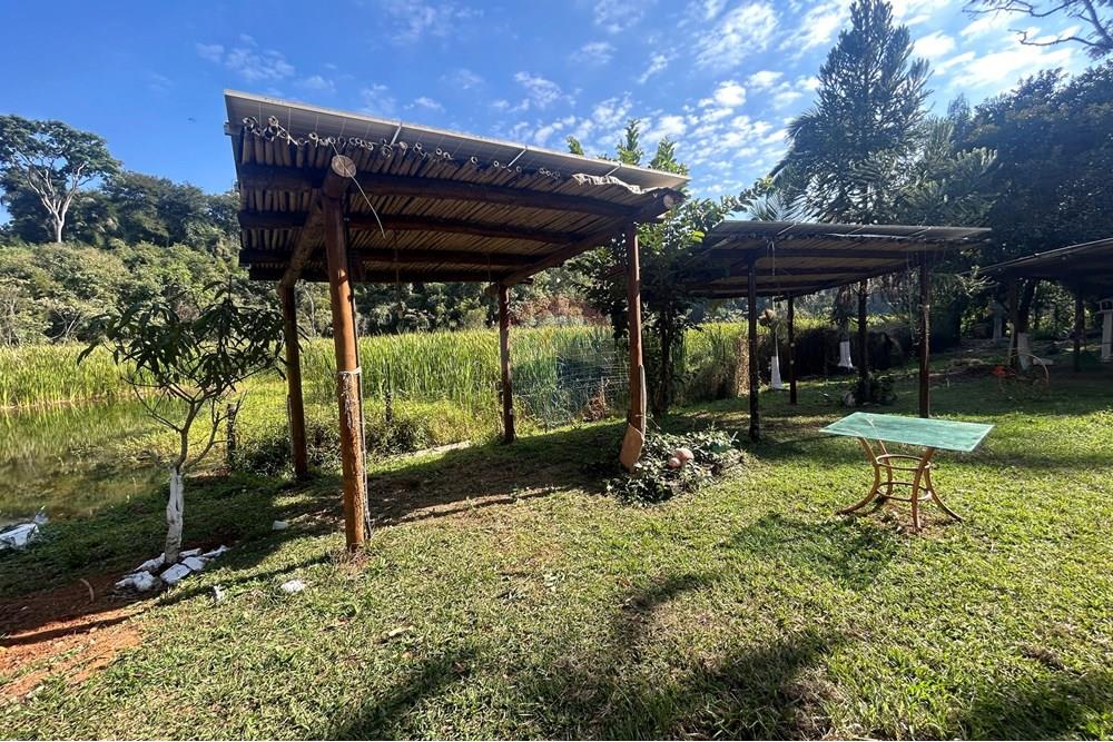 Chácara / Sítio / Fazenda - Venda - Varginha , Minas Gerais - image00016.jpeg - 870641024-16